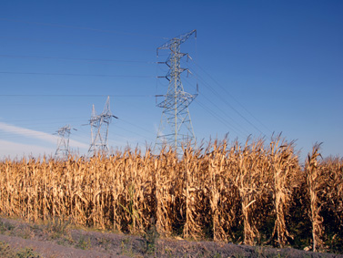 Corn-Stover