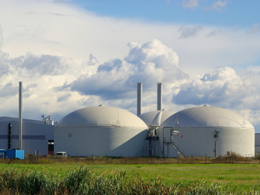 Digester-4